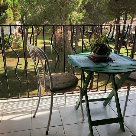 Studio 150M De La Mer Argelès-sur-Mer Εξωτερικό φωτογραφία