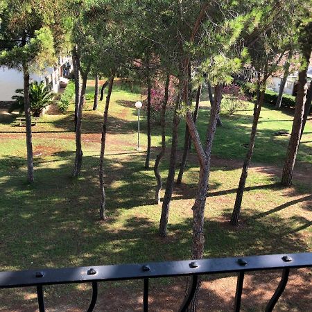 Studio 150M De La Mer Argelès-sur-Mer Εξωτερικό φωτογραφία