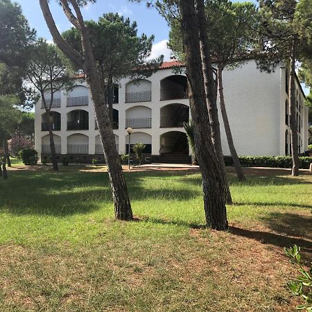 Studio 150M De La Mer Argelès-sur-Mer Εξωτερικό φωτογραφία