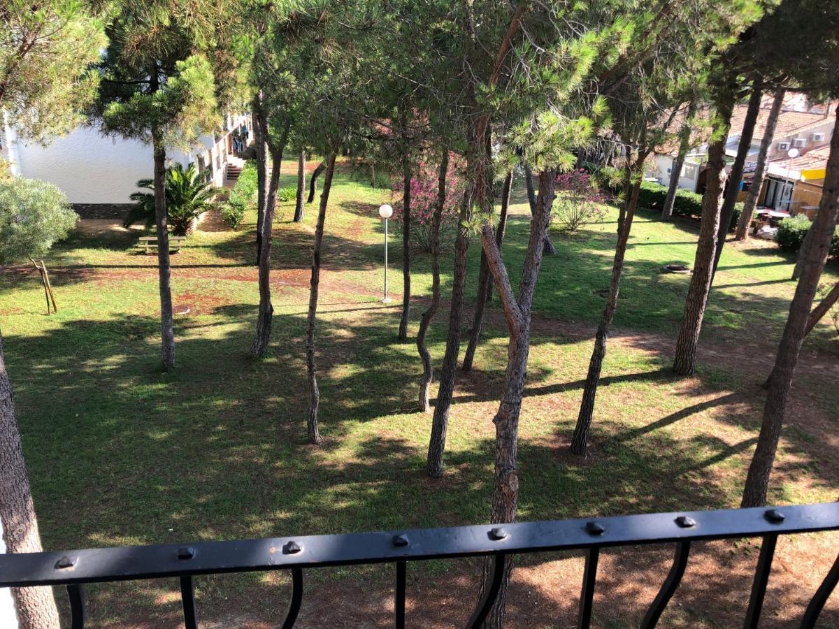 Studio 150M De La Mer Argelès-sur-Mer Εξωτερικό φωτογραφία